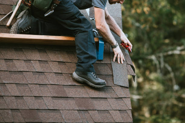 Best Roof Gutter Cleaning  in Frankton, IN